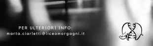 Descrizione immagine non disponibile