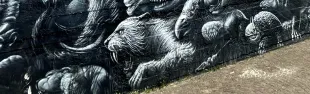 Murales Morgagni