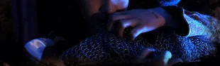Medesima sepoltura