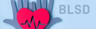BLSD