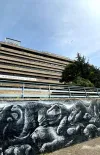 Murales Morgagni