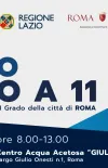calcio 