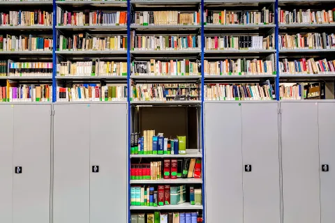 biblioteca parete di libri