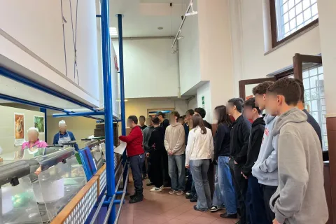 Cittadinanza attiva
