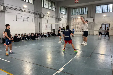 Settimana didattica alternativa 4/4