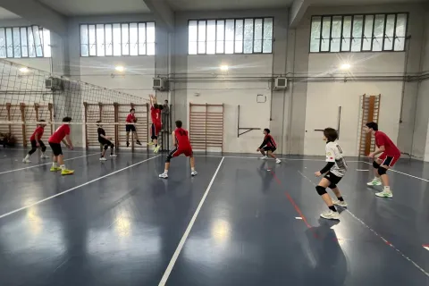 Volley