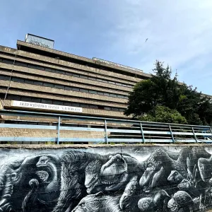 Murales Morgagni