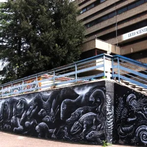 Murales