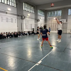 Settimana didattica alternativa 4/4