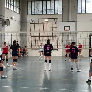 volley