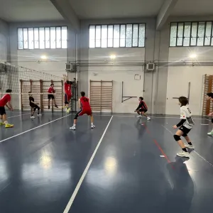 Volley